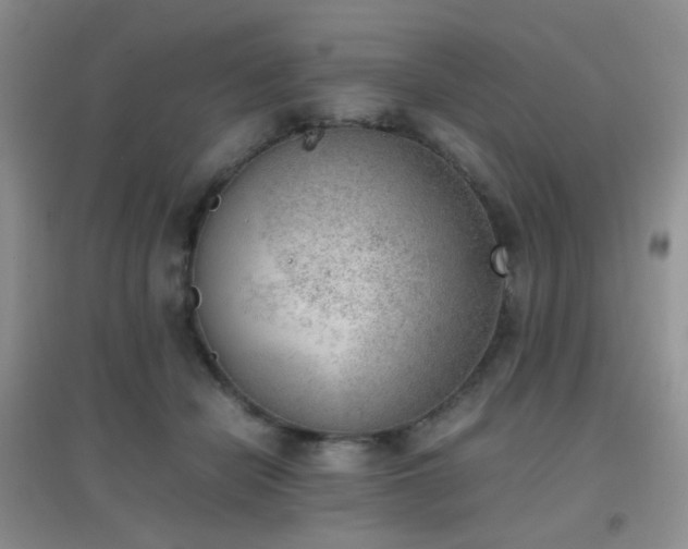 X0000096960462200802081234