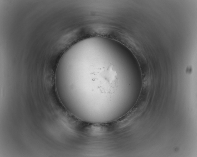 X0000096960464200802081234