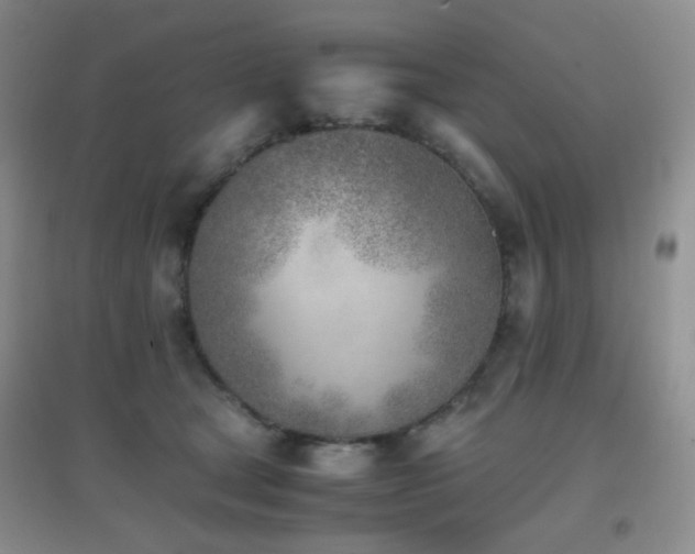 X0000096960465200802081234