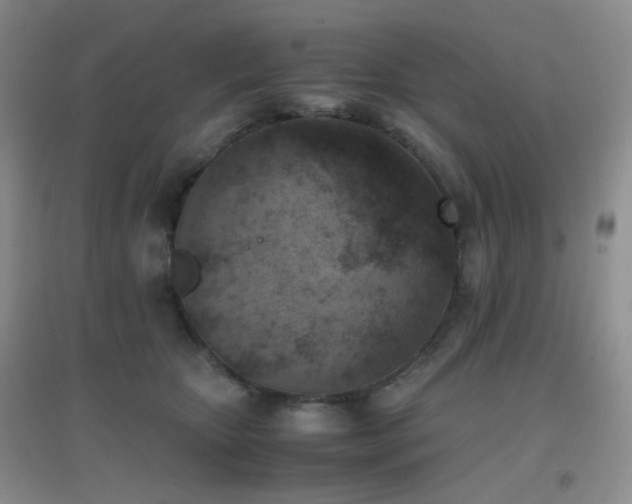 X0000096960467200802081234