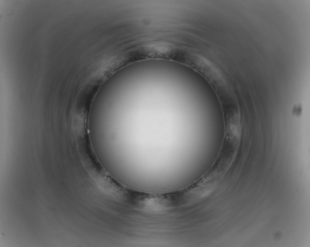 X0000096960468200802081234