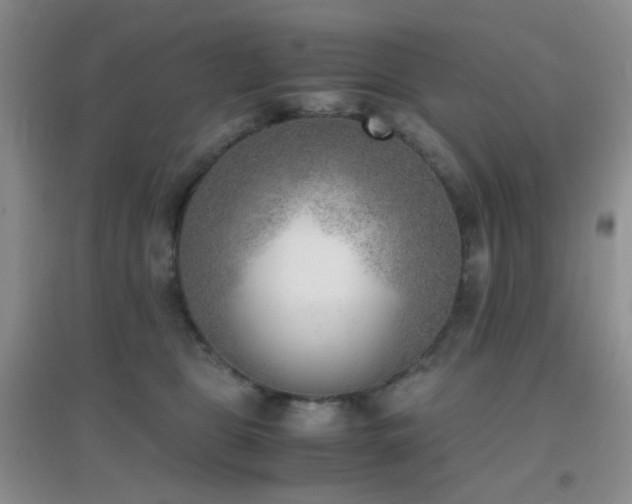 X0000096960469200802081234