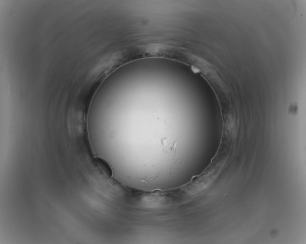 X0000096960470200802081234