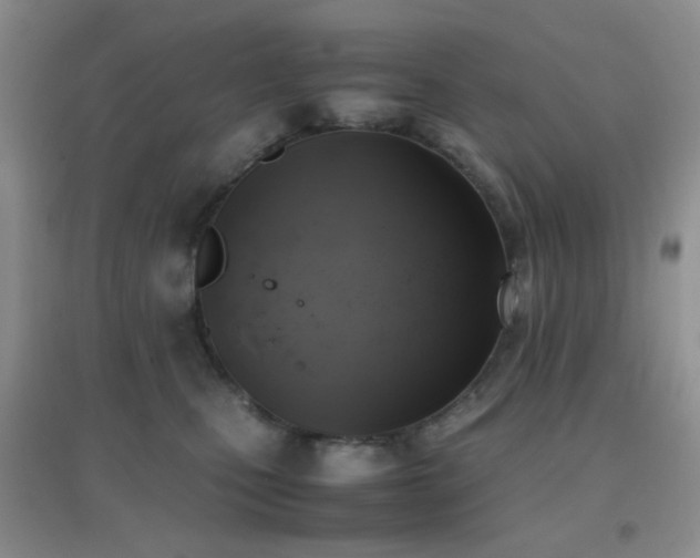 X0000096960471200802081234