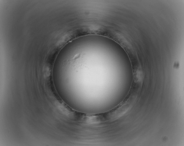 X0000096960472200802081234