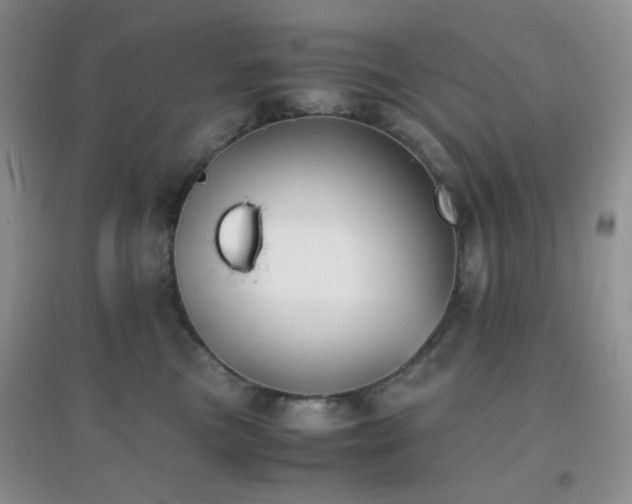 X0000096960473200802081234