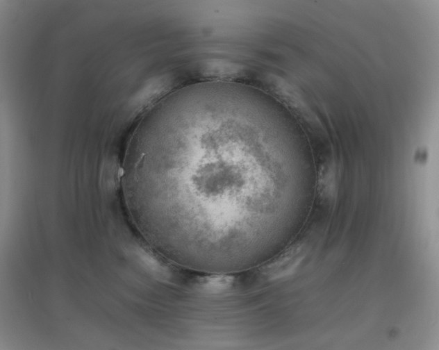 X0000096960474200802081234