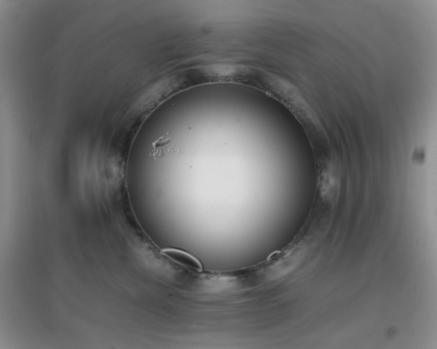 X0000096960476200802081234