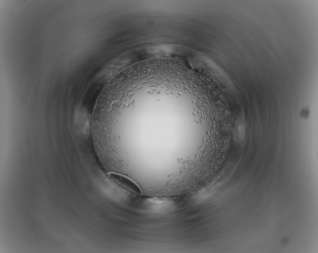 X0000096960477200802081234