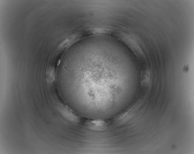 X0000096960478200802081234