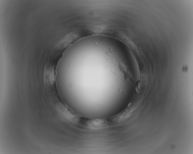 X0000096960479200802081234