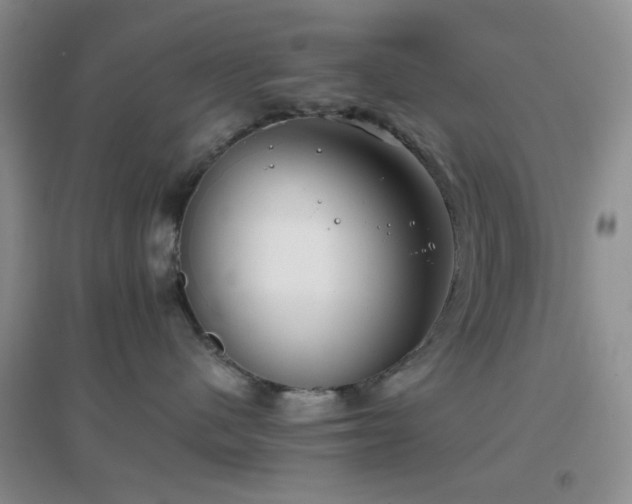 X0000096960480200802081234