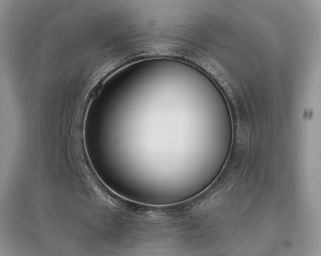 X0000096960481200802081234