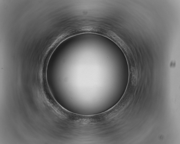 X0000096960482200802081234