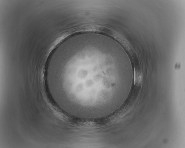 X0000096960483200802081234