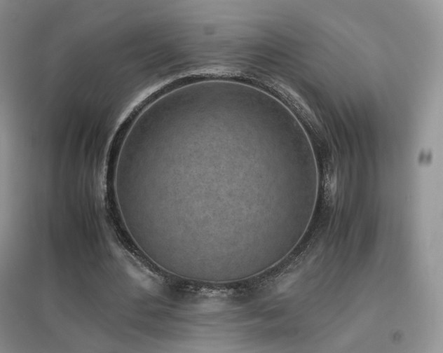 X0000096960484200802081234