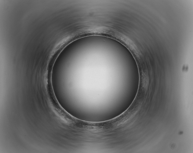 X0000096960486200802081233