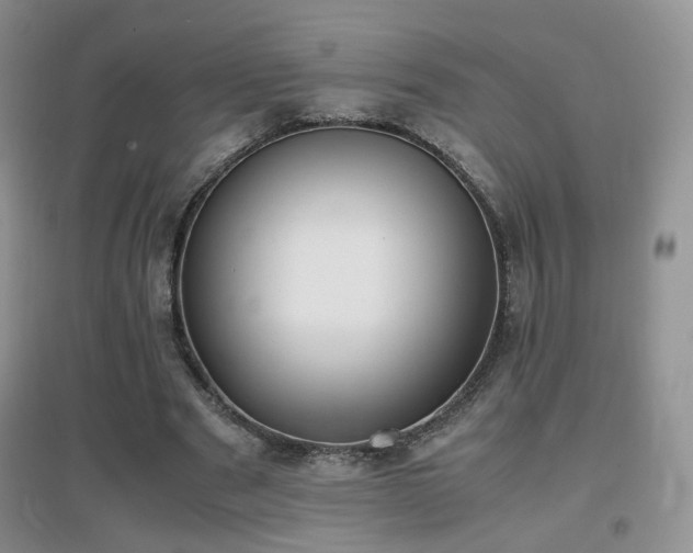 X0000096960489200802081233