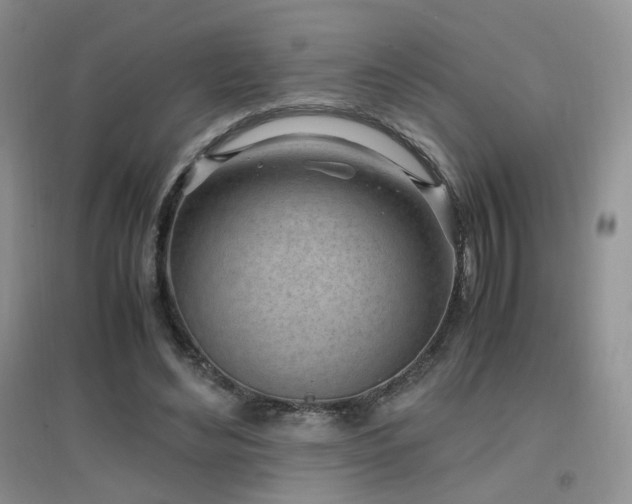 X0000096960492200802081233