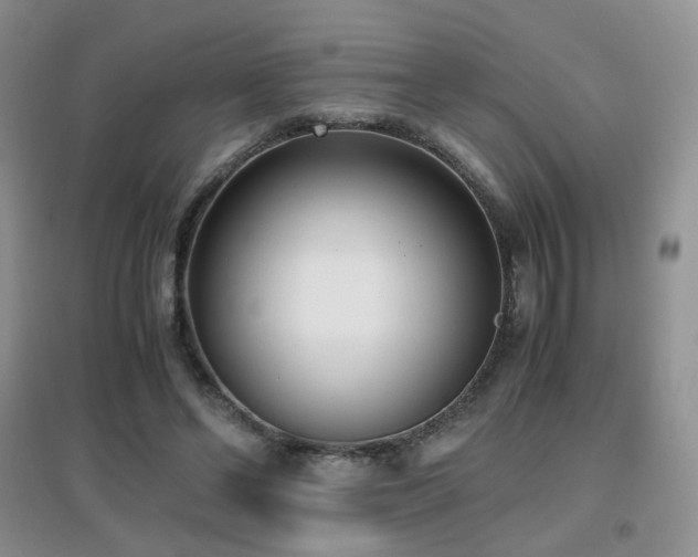 X0000096960494200802081233