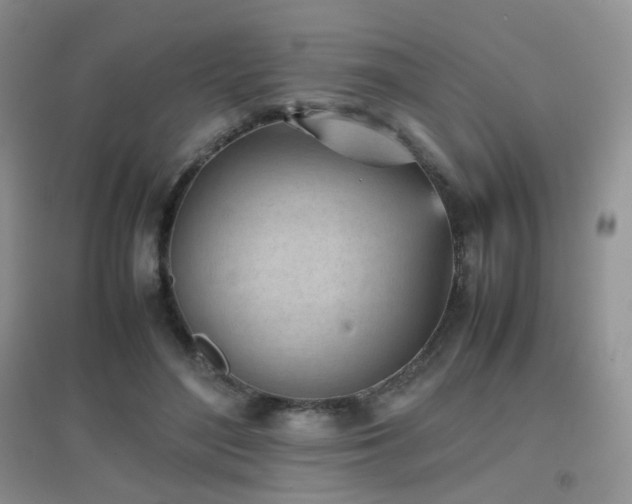 X0000096960500200802081233