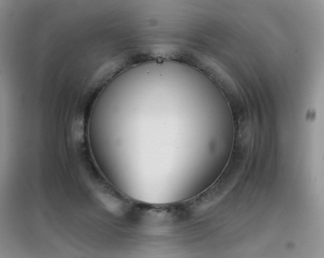 X0000096960502200802081233