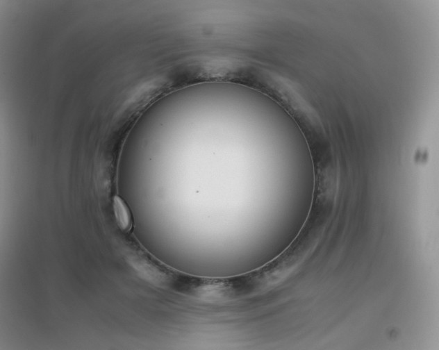X0000096960505200802081233