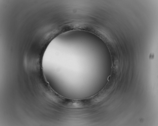 X0000096960506200802081233