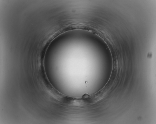 X0000096960508200802081233
