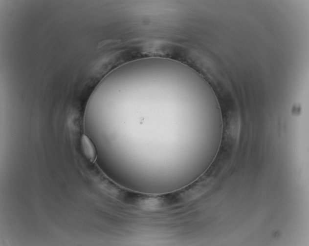 X0000096960513200802081233