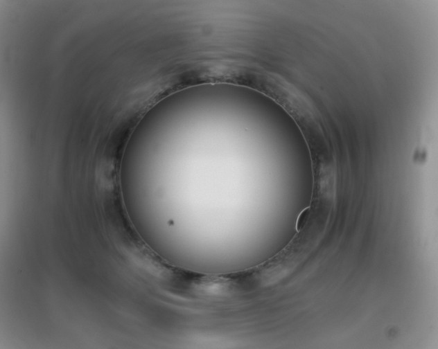 X0000096960514200802081233