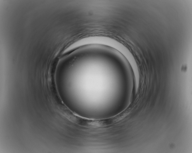 X0000096960516200802081233