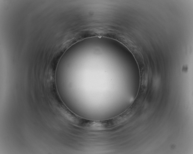 X0000096960518200802081233