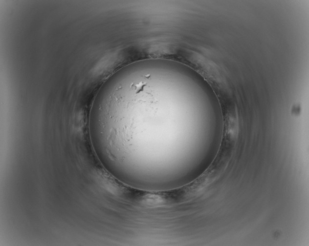 X0000096960519200802081233
