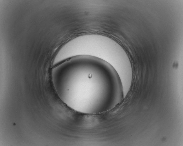 X0000096960520200802081233