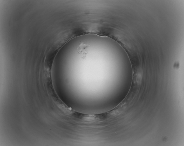 X0000096960521200802081233