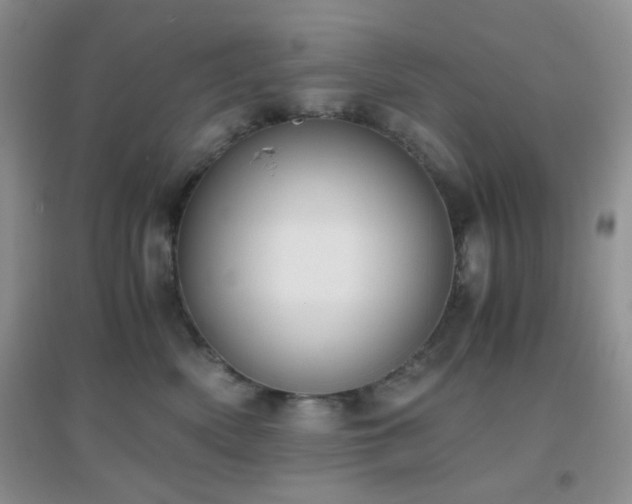X0000096960522200802081233