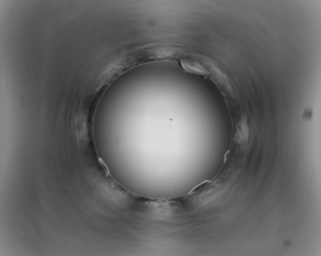 X0000096960524200802081233