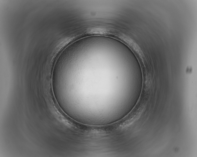 X0000096960529200802081232