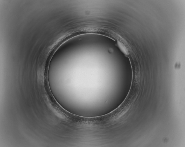 X0000096960530200802081232