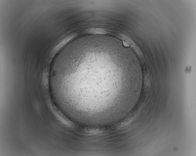 X0000096960533200802081232