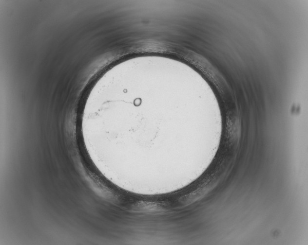 X0000096960534200802081232