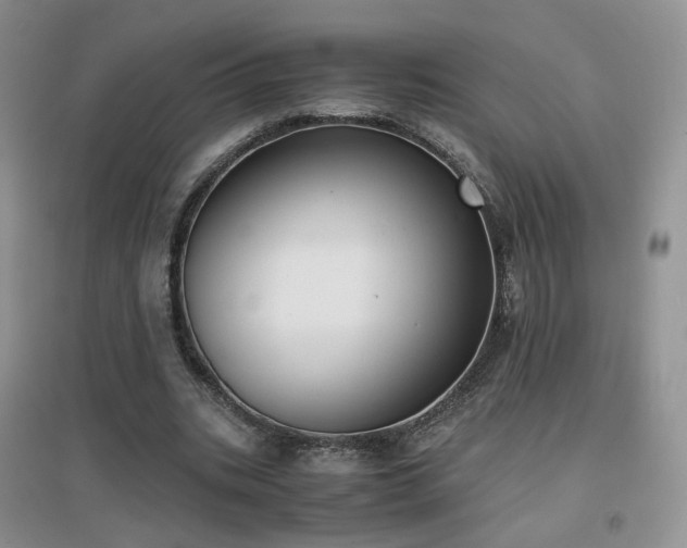 X0000096960535200802081232