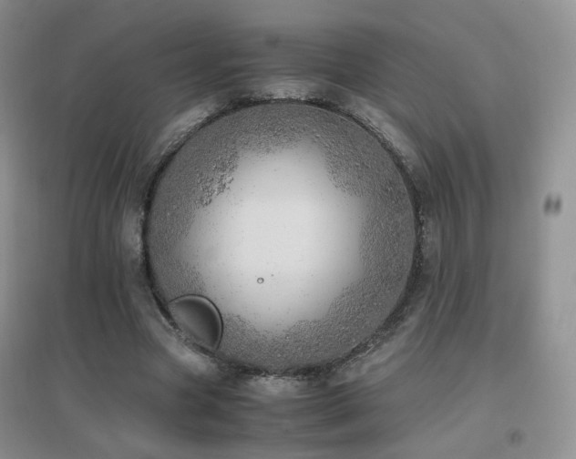 X0000096960537200802081232