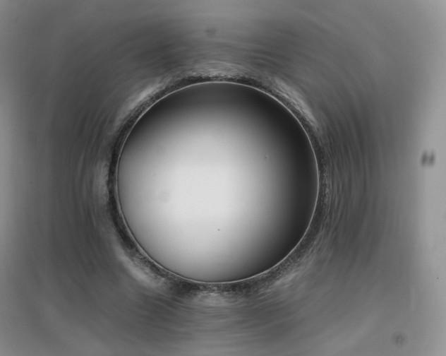 X0000096960538200802081232