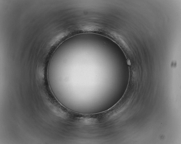 X0000096960539200802081232