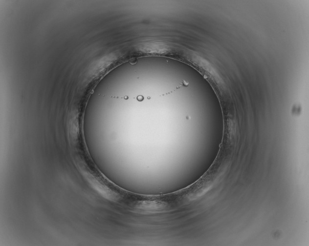 X0000096960541200802081232