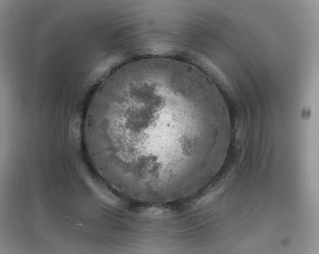 X0000096960542200802081232