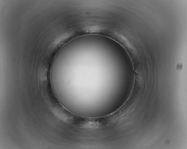 X0000096960543200802081232