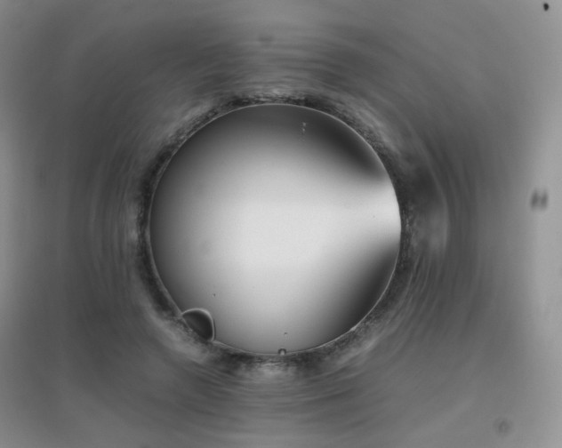 X0000096960546200802081232